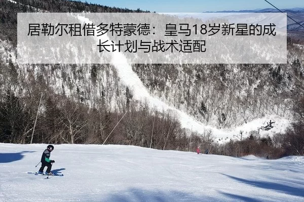 ju-lei-er-zu-jie-duo-te-meng-de-huang-ma-sui-xin-xing-de-cheng-zhang-ji-hua-yu-zhan-shu-shi-pei-1-181.jpg